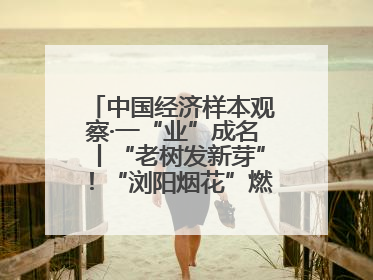中国经济样本观察·一“业”成名丨“老树发新芽”！“浏阳烟花”燃亮世界