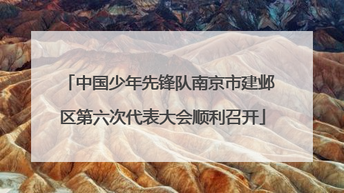 中国少年先锋队南京市建邺区第六次代表大会顺利召开
