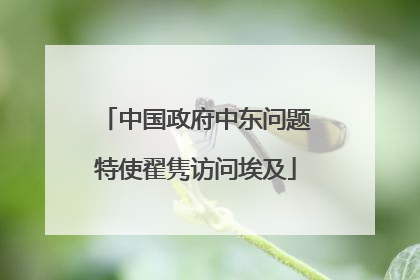 中国政府中东问题特使翟隽访问埃及