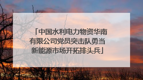 中国水利电力物资华南有限公司党员突击队勇当新能源市场开拓排头兵