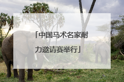 中国马术名家耐力邀请赛举行