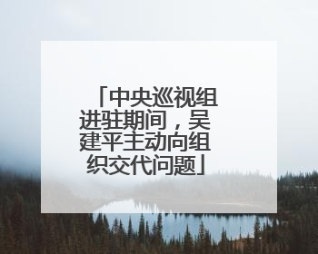中央巡视组进驻期间,吴建平主动向组织交代问题