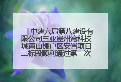中建六局第八建设有限公司三亚崖州湾科技城南山棚户区安置项目二标段顺利通过第一次主体结构验收