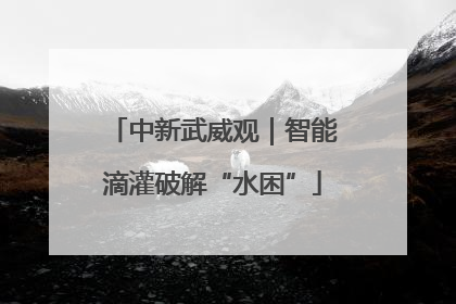 中新武威观｜智能滴灌破解“水困”