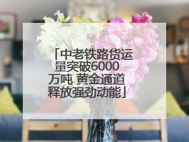 中老铁路货运量突破6000万吨 黄金通道释放强劲动能