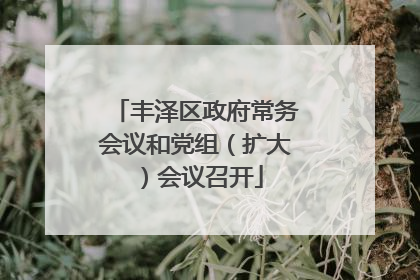 丰泽区政府常务会议和党组（扩大）会议召开