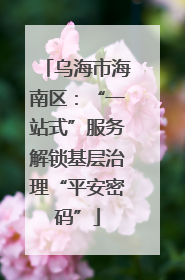 乌海市海南区：“一站式”服务解锁基层治理“平安密码”