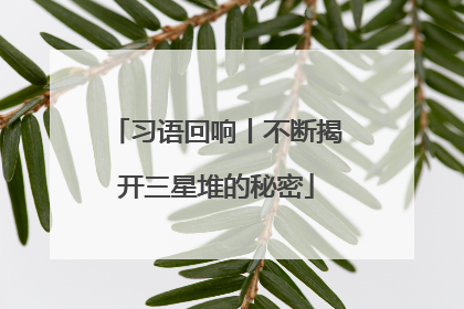 习语回响丨不断揭开三星堆的秘密