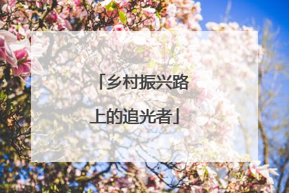 乡村振兴路上的追光者
