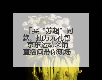 买“苏超”同款、抽万元礼包 京东运动采销直播间带你现场沉浸式看球赛