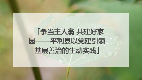 争当主人翁 共建好家园——平利县以党建引领基层善治的生动实践