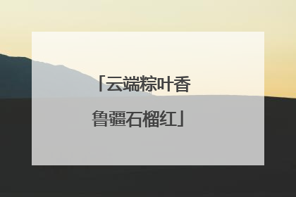云端粽叶香 鲁疆石榴红