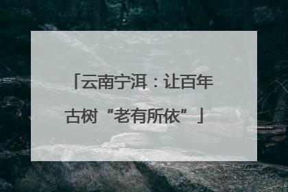 云南宁洱：让百年古树“老有所依”