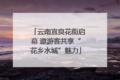 云南宜良花街启幕 邀游客共享“花乡水城”魅力