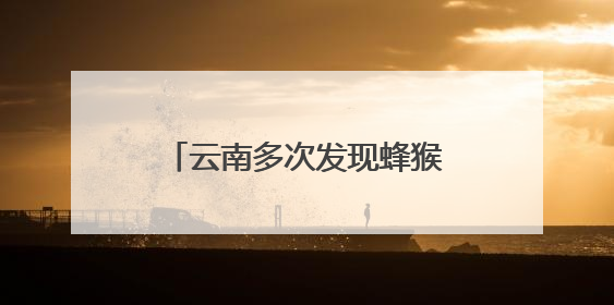 云南多次发现蜂猴、倭蜂猴实体 监测获阶段性成果