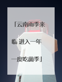 云南雨季来临 进入一年一度吃菌季