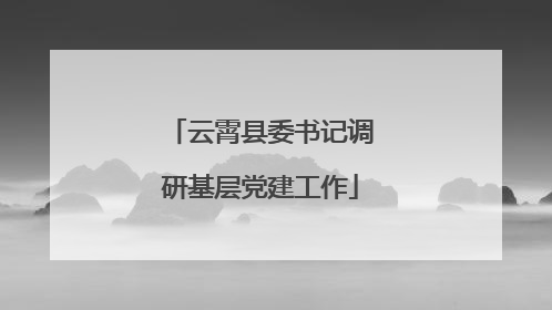云霄县委书记调研基层党建工作