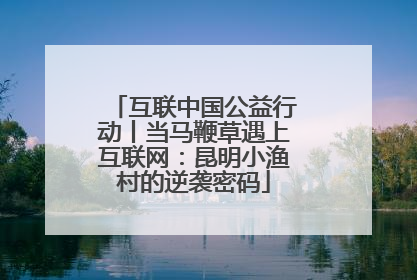 互联中国公益行动丨当马鞭草遇上互联网：昆明小渔村的逆袭密码