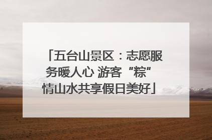 五台山景区：志愿服务暖人心 游客“粽”情山水共享假日美好