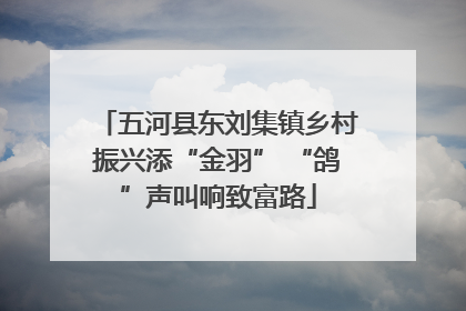 五河县东刘集镇乡村振兴添“金羽” “鸽”声叫响致富路