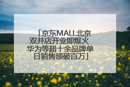 京东MALL北京双井店开业即爆火 华为等超十余品牌单日销售额破百万