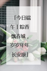 今日端午丨粽香飘春城，岁岁年年长安康