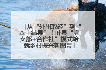 从“外出取经”到“本土结果”！叶县“党支部+合作社”模式绘就乡村振兴新图景