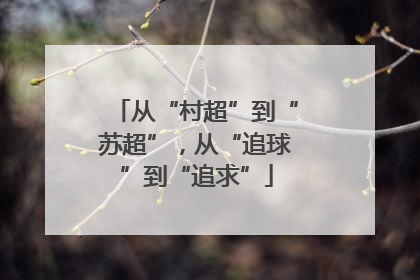 从“村超”到“苏超”，从“追球”到“追求”