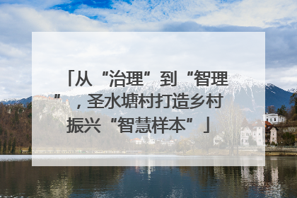 从“治理”到“智理”，圣水塘村打造乡村振兴“智慧样本”