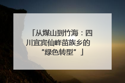 从煤山到竹海：四川宜宾仙峰苗族乡的“绿色转型”