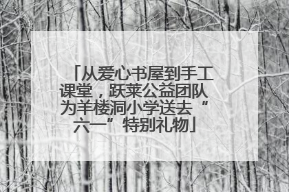 从爱心书屋到手工课堂，跃莱公益团队为羊楼洞小学送去“六一”特别礼物