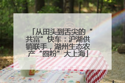 从田头到舌尖的“共富”快车：沪湖供销联手，湖州生态农产“圈粉”大上海