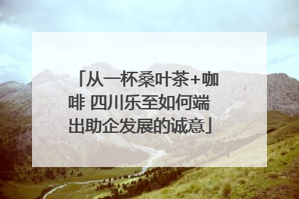 从一杯桑叶茶+咖啡 四川乐至如何端出助企发展的诚意