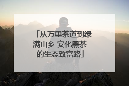从万里茶道到绿满山乡 安化黑茶的生态致富路