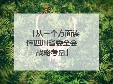 从三个方面读懂四川省委全会战略考量