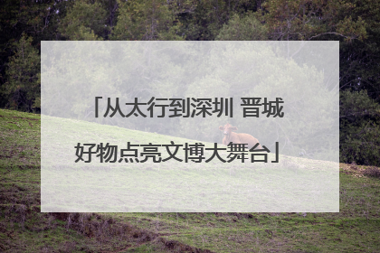 从太行到深圳 晋城好物点亮文博大舞台