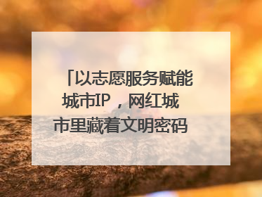 以志愿服务赋能城市IP，网红城市里藏着文明密码｜新京报评论
