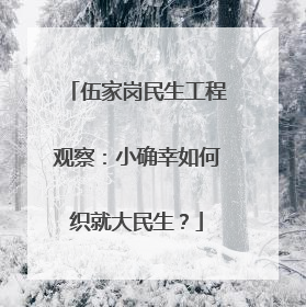 伍家岗民生工程观察：小确幸如何织就大民生？