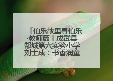 伯乐故里寻伯乐·教师篇丨成武县郜城第六实验小学刘士成：书香润童年 阳光育新人