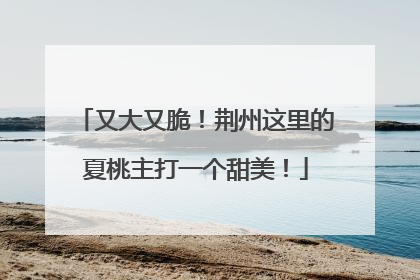 又大又脆！荆州这里的夏桃主打一个甜美！