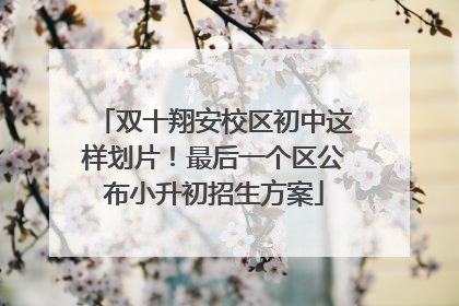 双十翔安校区初中这样划片！最后一个区公布小升初招生方案