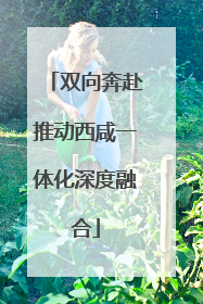 双向奔赴推动西咸一体化深度融合