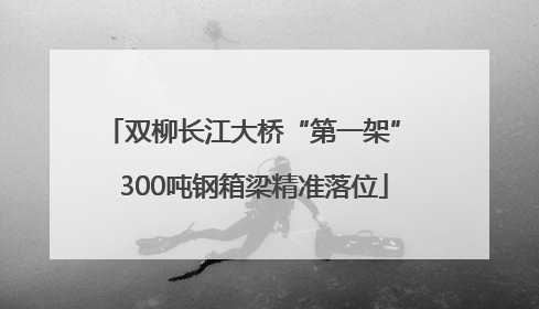 双柳长江大桥“第一架” 300吨钢箱梁精准落位