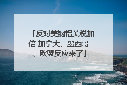 反对美钢铝关税加倍 加拿大、墨西哥、欧盟反应来了