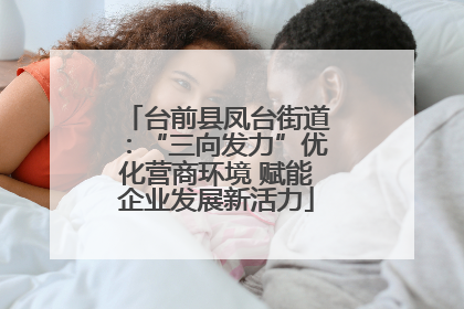 台前县凤台街道：“三向发力”优化营商环境 赋能企业发展新活力
