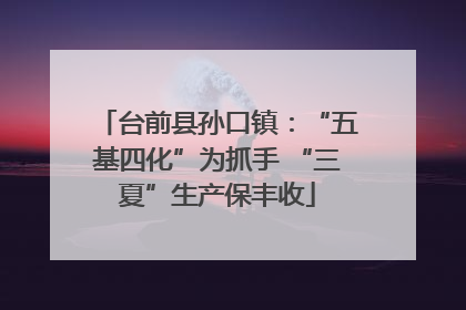 台前县孙口镇：“五基四化”为抓手 “三夏”生产保丰收
