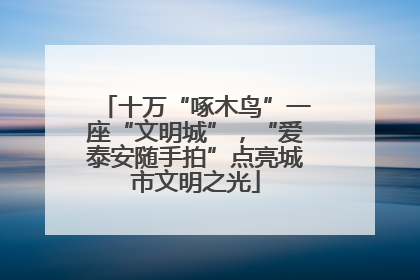 十万“啄木鸟”一座“文明城”，“爱泰安随手拍”点亮城市文明之光