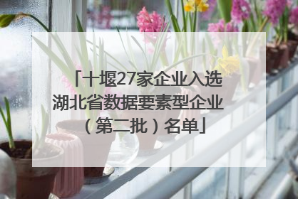 十堰27家企业入选湖北省数据要素型企业（第二批）名单