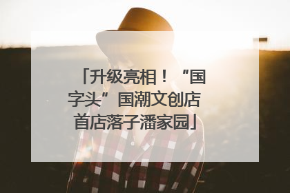 升级亮相！“国字头”国潮文创店首店落子潘家园