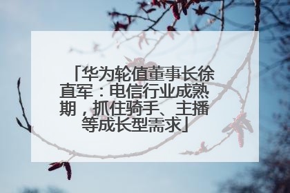 华为轮值董事长徐直军：电信行业成熟期，抓住骑手、主播等成长型需求